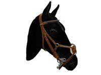 tiendas equitacion madrid